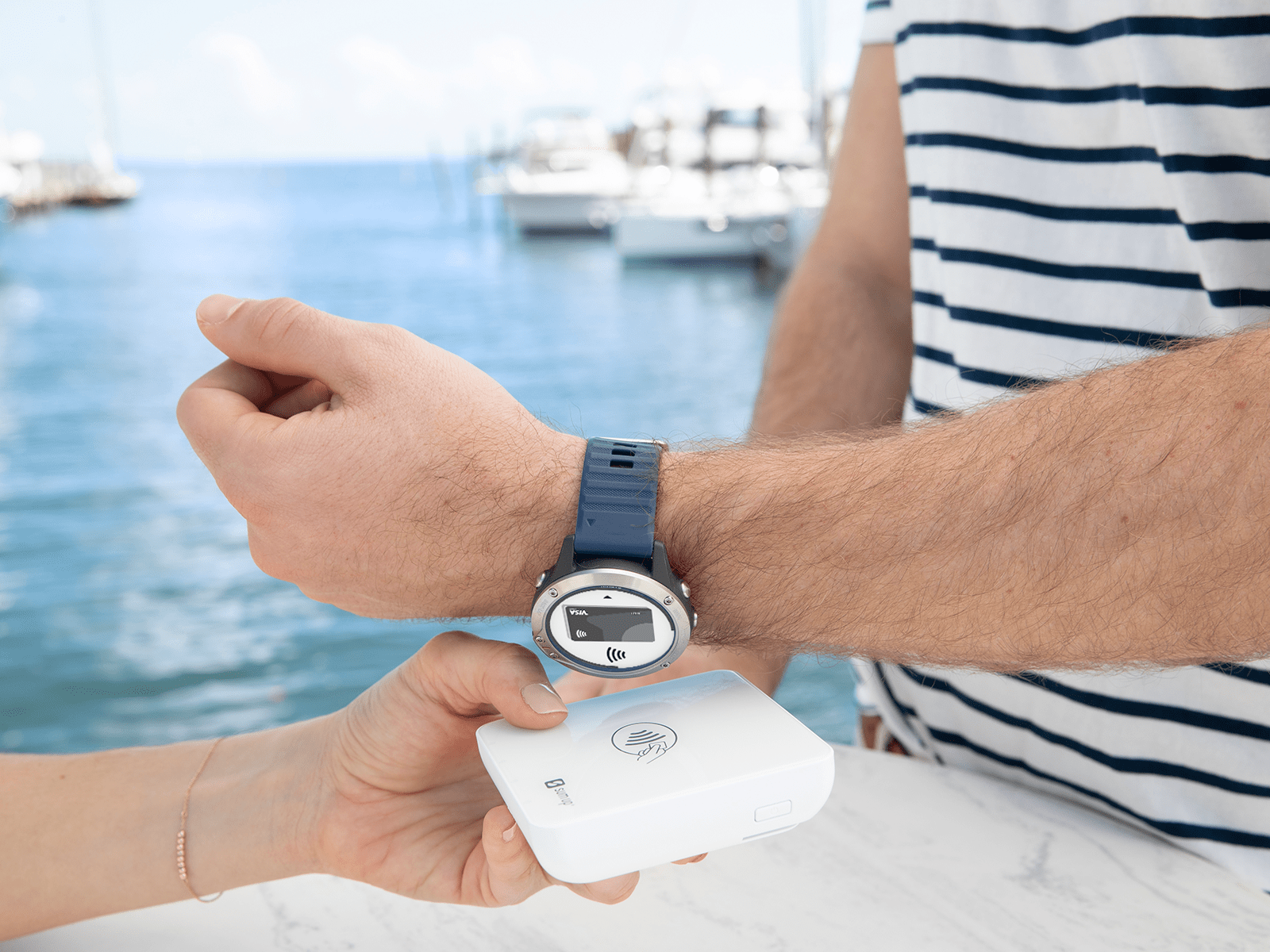 Fitbit Garmin Visa
