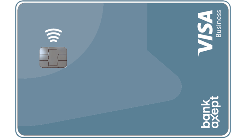 visa business