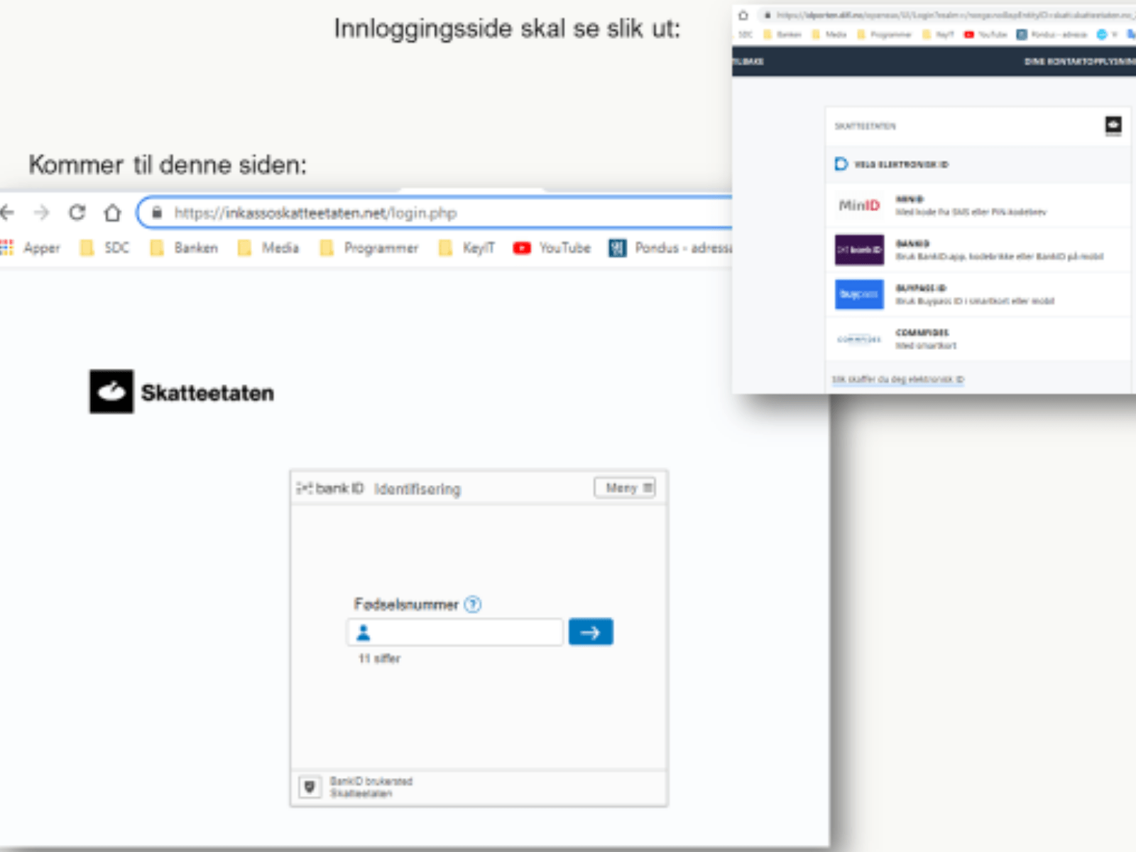 svindel innlogging skatteetaten