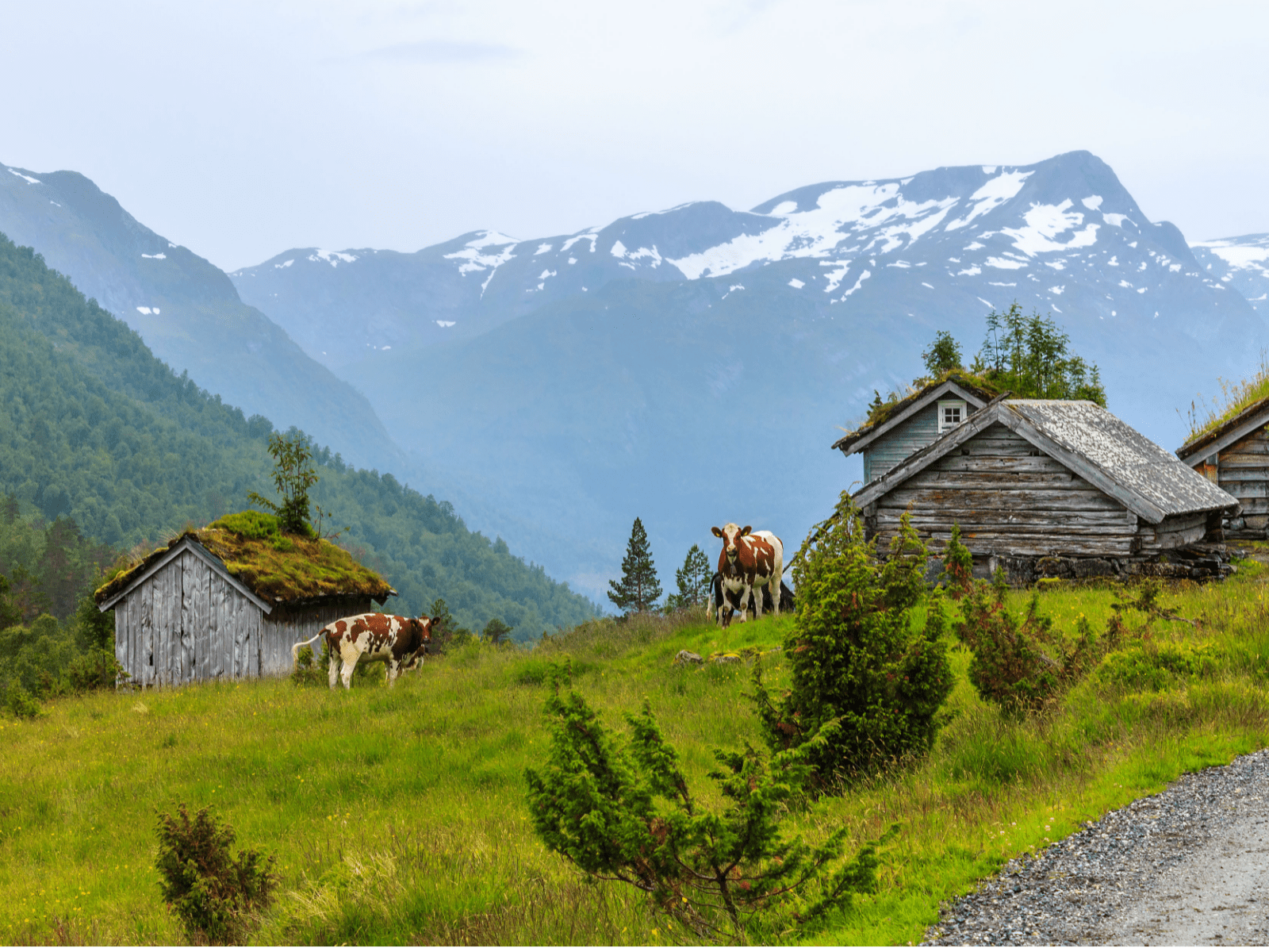 Gammel seter norge